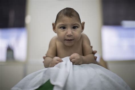 Brazil Declares End To Zika Emergency After Fall In Cases The Spokesman Review