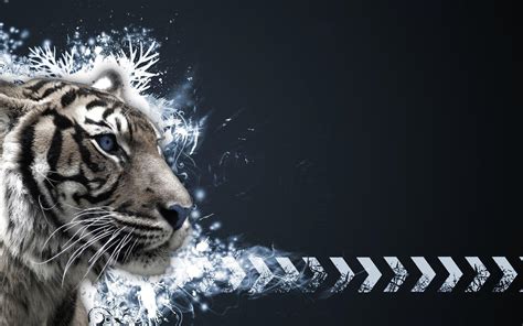 White Tiger Wallpapers Hd Wallpaper Cave