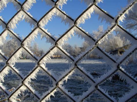Looking Through A Frozen Fence With A Winter Scenery In The Free Photos