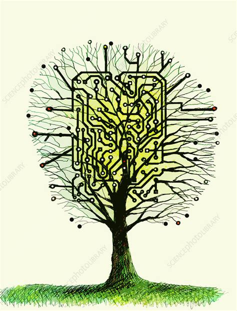 Circuit Board Tree Illustration Stock Image C0397802 Science