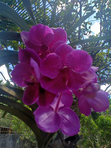 Lucsuhin Online Sellers | 10pesos all items