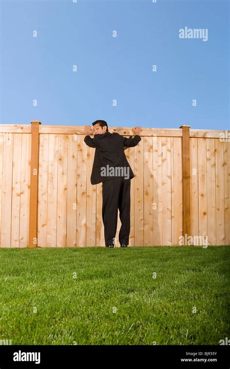 Peeking Over Fence High Resolution Stock Photography And Images Alamy