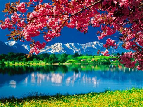 Full Hd Beautiful 3d Nature Wallpapers Beautiful Pictures