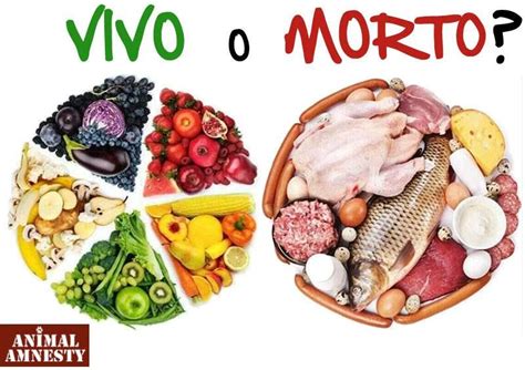 Ser Vegano Es Una Cuesti N Moral Y De Evoluci N Humana Eliminemos Los