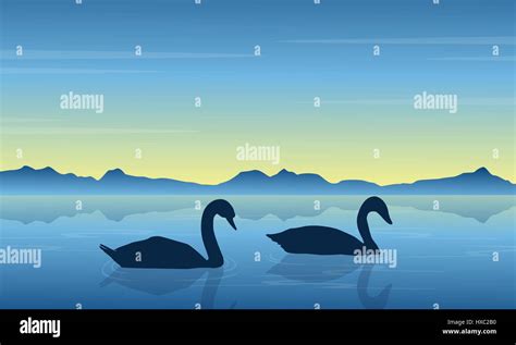 Swan On Lake At Sunrise Scenery Stock Vector Image And Art Alamy