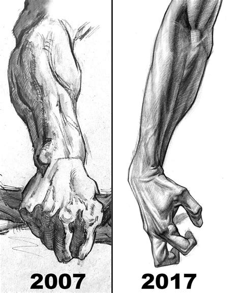 Stanprokopenko Human Anatomy Art Anatomy Sketches