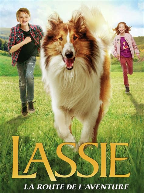 Lassie La Route De Laventure Chienne De Nostalgie ½ La Presse