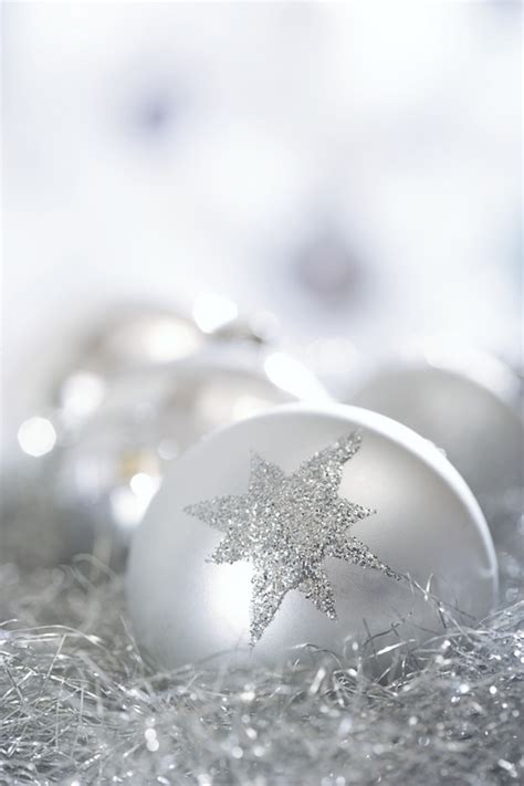 Silver Christmas Ornaments Christmas Photo 22229599 Fanpop