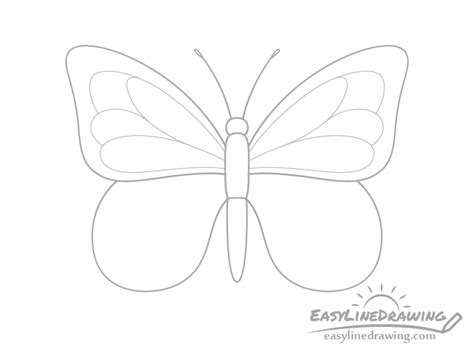 How To Draw A Butterfly Step By Step Easylinedrawing