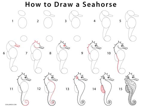How To Draw A Seahorse Step By Step Pictures Cool2bkids