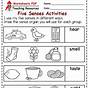 Five Senses Worksheet First Grade