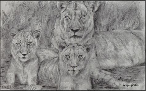 Lioness And Cubs By Ceciliasal On Deviantart