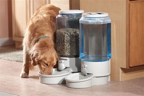Auto Dog Food And Water Feeder 17734 Pets Dog Water Dispenser