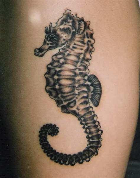 Seahorse Tattoos Designs Ideas And Meaning Tattoos For You