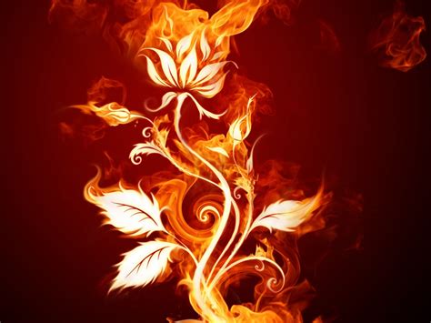 Check out this fantastic collection of free fire wallpapers, with 89 free fire background images for your desktop, phone or tablet. Vector - Burning Fire Rose Flower - iPad iPhone HD ...