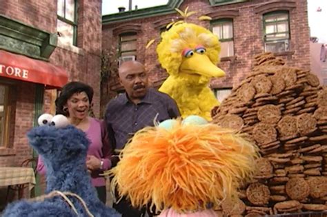 Sesame Street Episode 4045 Cookie Monster Gets The Cookie Flu