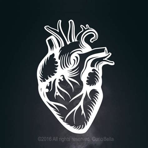 Anatomical Heart Vinyl Decal Heart Vinyl Heart Decal Heart Human