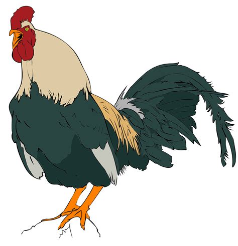 Free Rooster Clip Art Pictures Clipartix