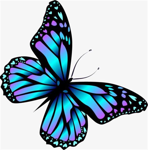 Desenho De Borboleta Azul Butterfly Painting Butterfly Drawing