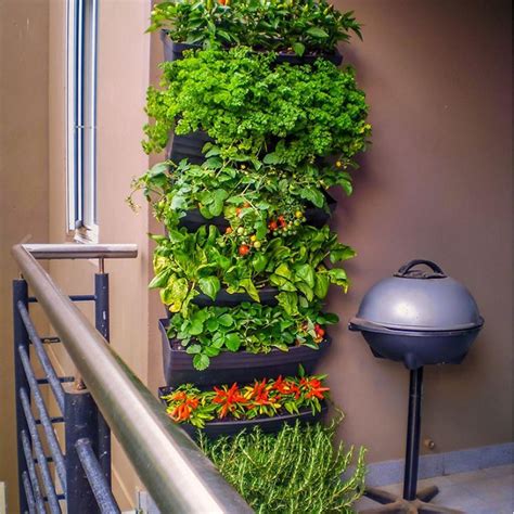 Automatic Wall Garden Aqua Gardening