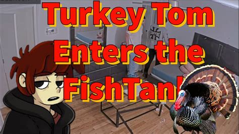 Turkey Tom Enters The Fishtank Youtube