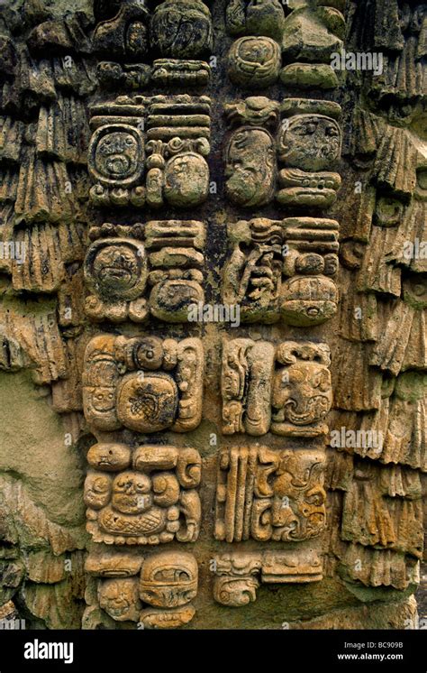 These Mayan Glyphs Carved On The Back Of A Stela Tell The Story Of