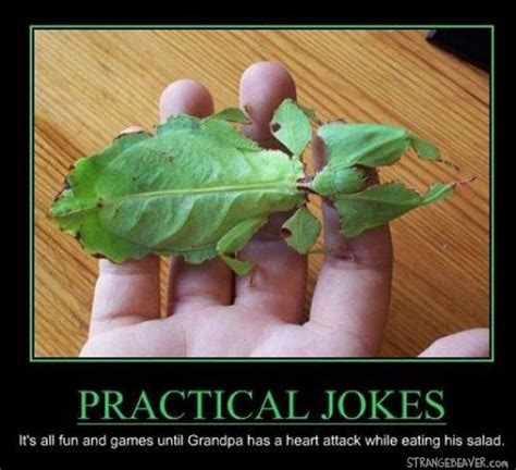 Motivational Monday 4 1 Practical Jokes Jokes Funny People Pictures