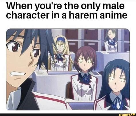 When Youre The Only Male Character In A Harem Anime Ifunny