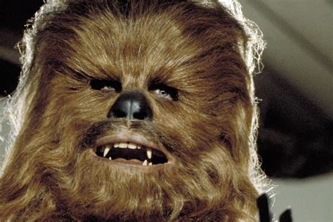 Chewbacca Officially Set To Return In Star Wars Episode Vii Digital