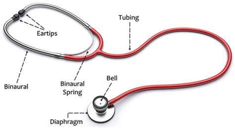 Saana, a physician associate studies msc student at st george's will walk you through how to use your first stethoscope. Tips to Use a Stethoscope in a Proper Way