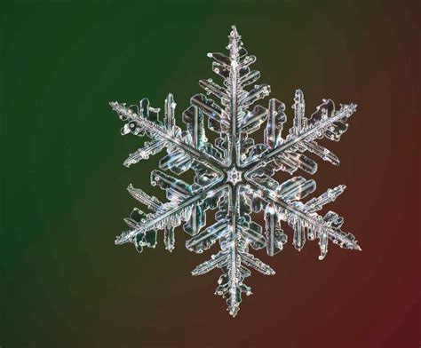High Resolution Photos Of Snowflakes Laptrinhx News