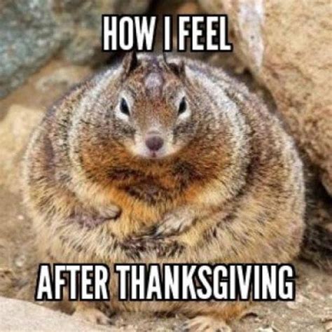 50 Best Funny Thanksgiving Memes For 2022 Yourtango