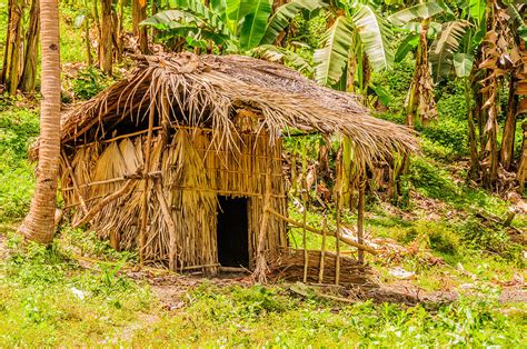 Jungle Hut In A Tropical Rainforest Photograph By Colin Utz Pixels