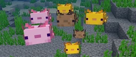 Axolotl Colors Added To Minecraft 117 Caves And Cliffs Update All You