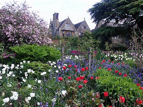 Wildflower Garden England Wildflower Garden Garden Cottage Garden