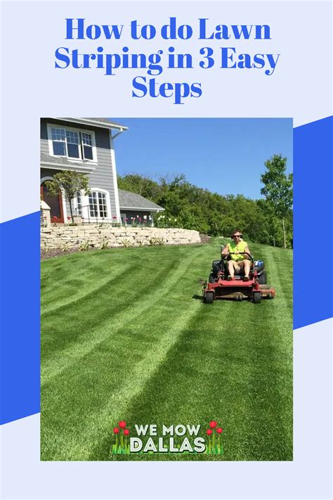 How To Do Lawn Striping In 3 Easy Steps Lawn Striping Lawn Roller