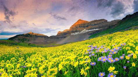 10 Best Nature Images Hd In India With Valley Of Flowers National Park