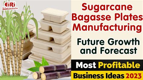 Sugarcane Bagasse Plates Manufacturing Youtube