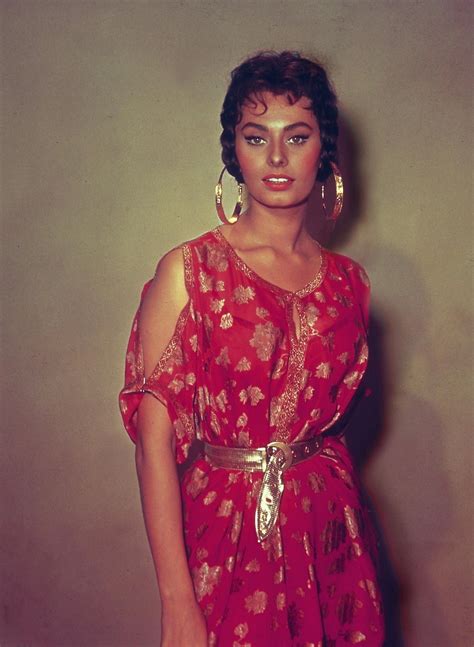 Sophia Loren Sofia Loren Hollywood Stars Old Hollywood Divas Sophia