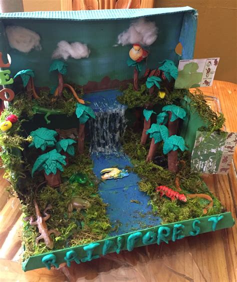 Rainforest Shoe Box Pre School Project Rainforest Crafts Diorama