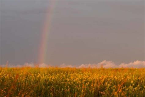 Grassland And Prairie Great Missouri Birding Trail