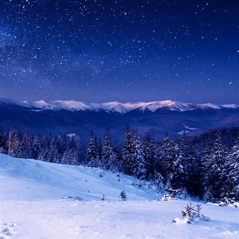 2048x2048 Papel De Parede Estrela Floresta Noite Em Casa Montanhas