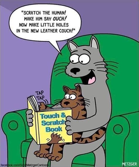 Pin By Phyllis H On Corny Cartoons Cat Jokes Funny Animal Memes