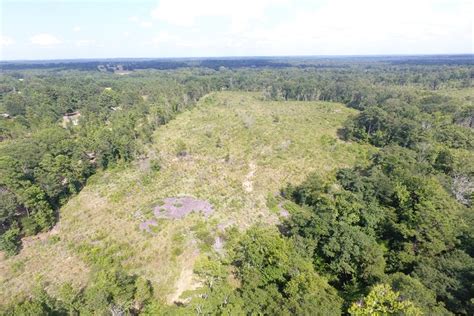 Cass County 78 Acres Molpus Woodlands Group