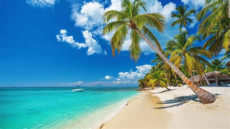 Destiny Caribbean Tours Excursiones En Punta Cana Excursiones Isla