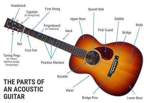The Parts Of An Acoustic Guitar Sound Pure
