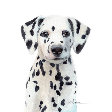 Watercolor Dalmatian Puppy Dalmatian Art Print Printable Etsy