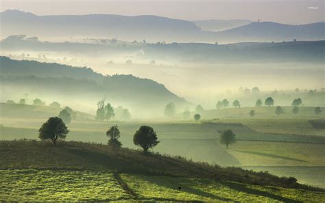 Foggy Morning On The Green Hills Wallpaper Nature Wallpapers 28763