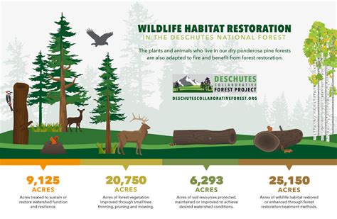 Infographic Wildlife Habitat Restoration Deschutes Collaborative