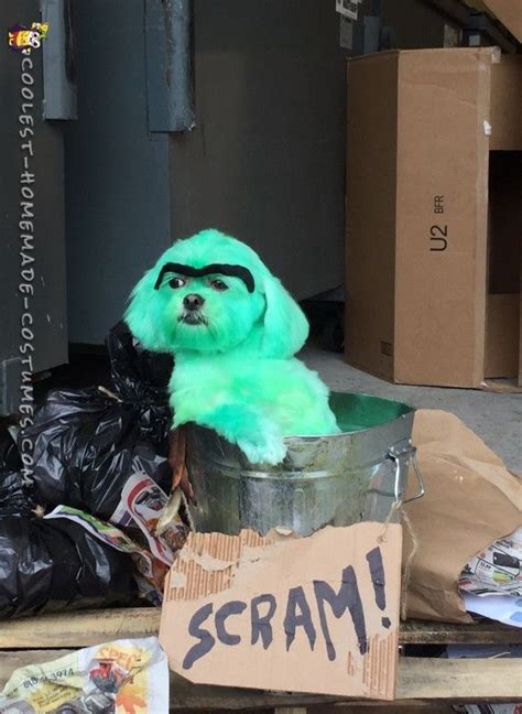 Doggie Doubles As Oscar The Grouch Costume Pet Halloween Costumes